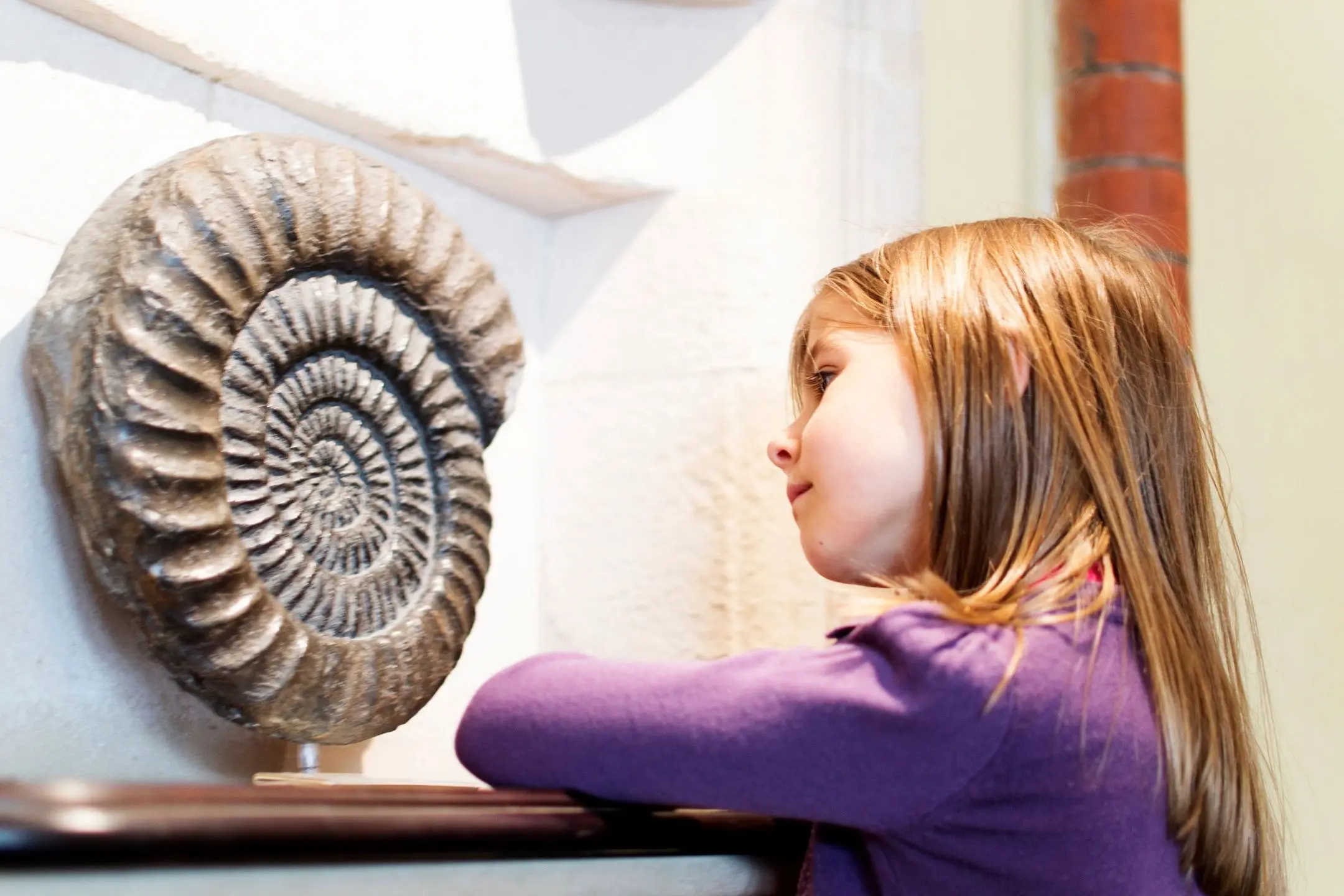 fm=f_1698 A young girl looking at an ammonite fossil.